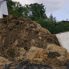 Einsatzstoff ist hauptschlich langstieliges Stroh aus der Pferdehaltung.